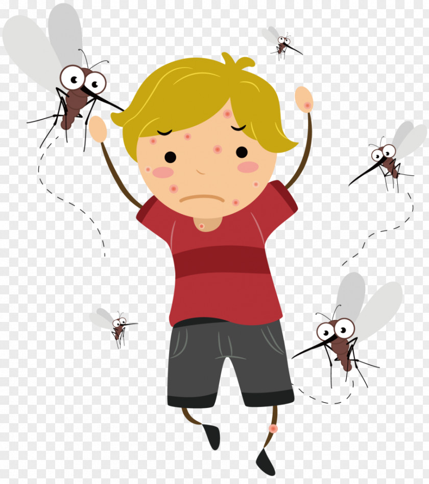 Mosquito Illustration Clip Art Household Insect Repellents Cartoon PNG