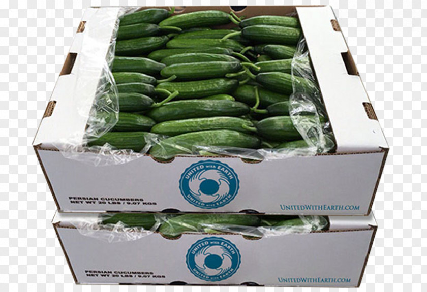 Name Soup Chef Cucumber Celebrity Box United With Earth, Corp. PNG