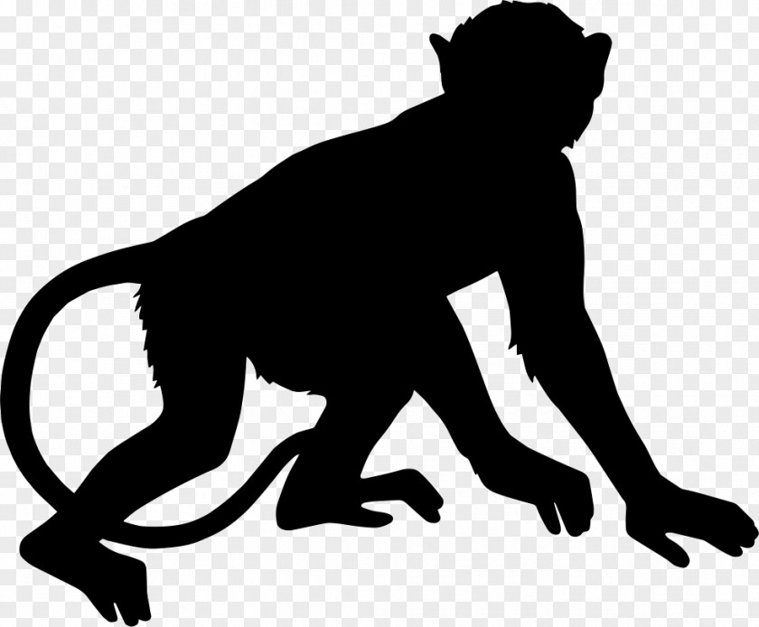 Orangutan Primate Monkey Clip Art PNG