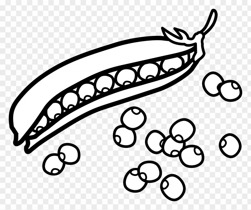 Pea Drawing Clip Art PNG