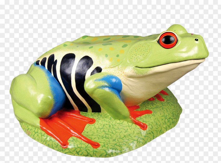 Frog True Tree Toad PNG