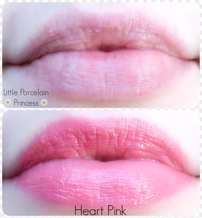 Lipstick Lip Gloss Giant Panda Balm PNG