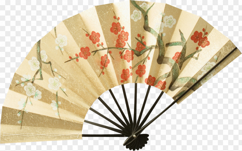 Eastern Hand Fan Paper Chinoiserie PNG