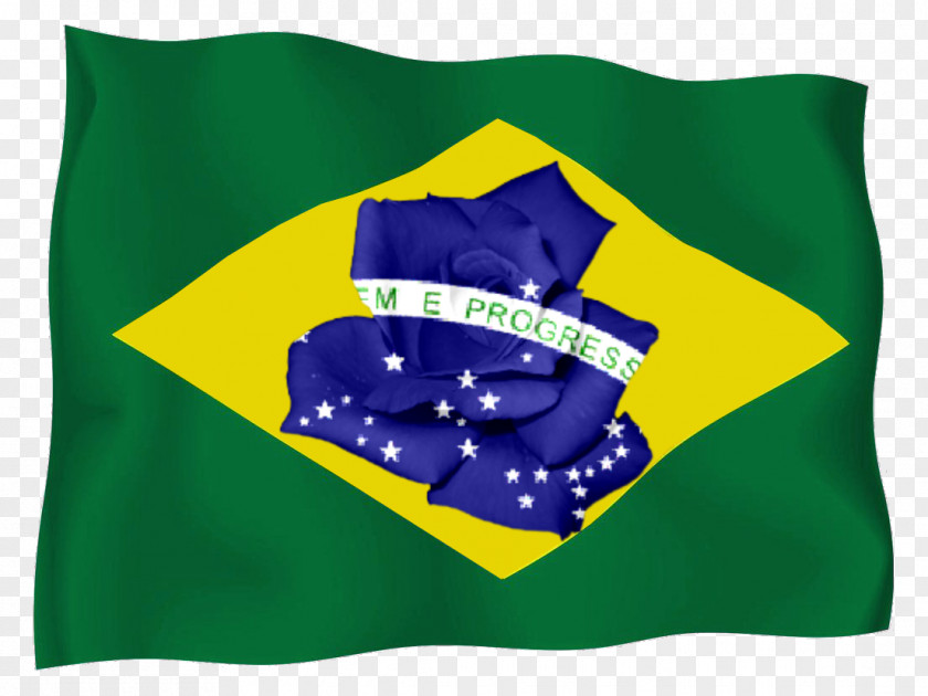 Flag Of Brazil Desktop Wallpaper Clip Art PNG