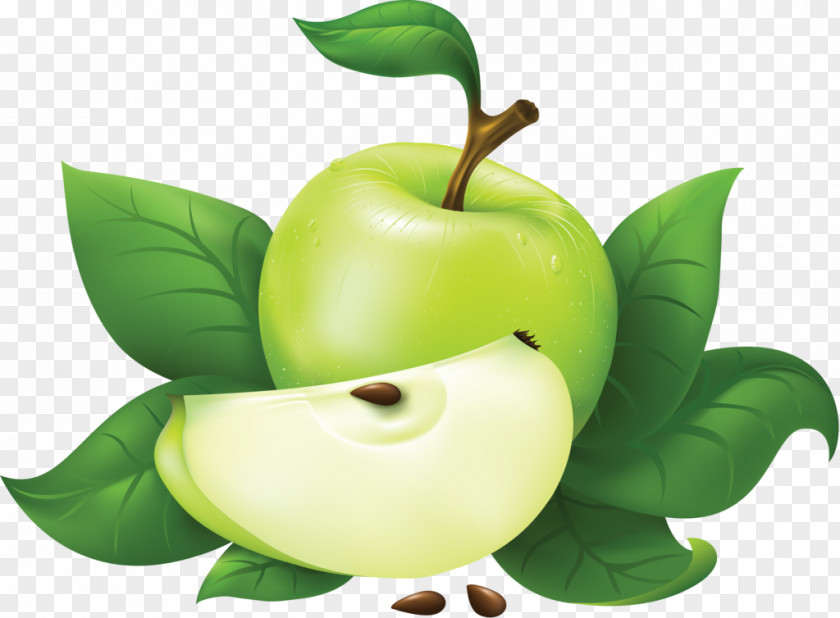 Green Apple Clip Art PNG