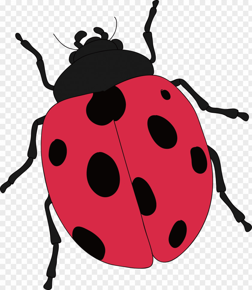 Ladybug Insect Butterfly Clip Art PNG