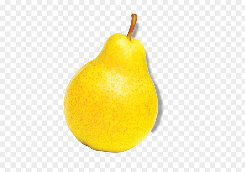 Pear European Asian Citrus Junos Fruit PNG