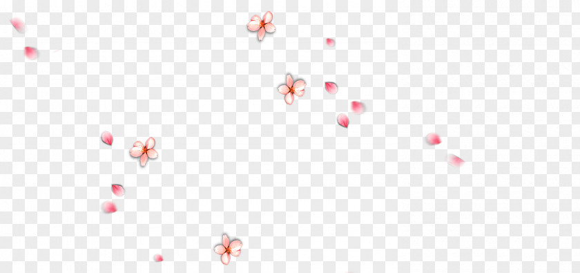 Plum Blossom Petals Floating Sky Petal Close-up Wallpaper PNG