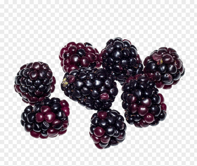 Raspberry Boysenberry Loganberry Tayberry Blackberry PNG