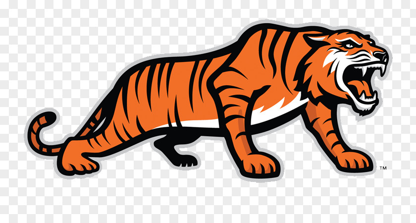 Tiger Rochester Institute Of Technology Tigers Men's Basketball RIT Ice Hockey Logo PNG