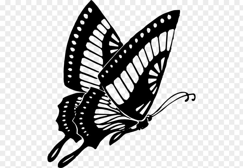 75% Butterfly Drawing Clip Art PNG