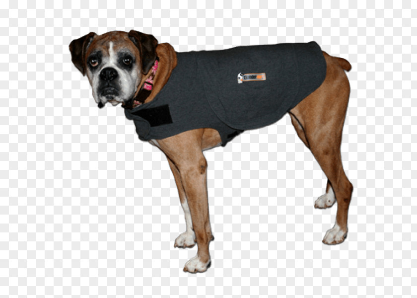 Beyond Basic Dog Training Breed Boxer Snout Clothes PNG
