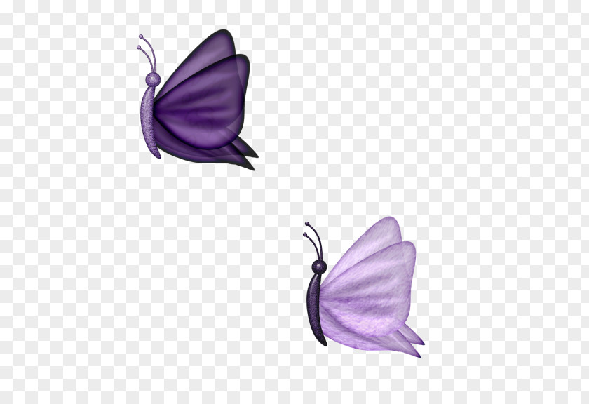 Butterfly Purple Moth Clip Art PNG