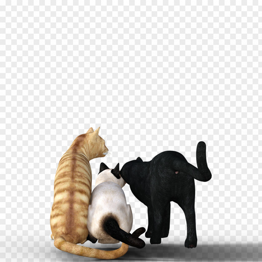 Cat Back Kitten Dog Pet PNG