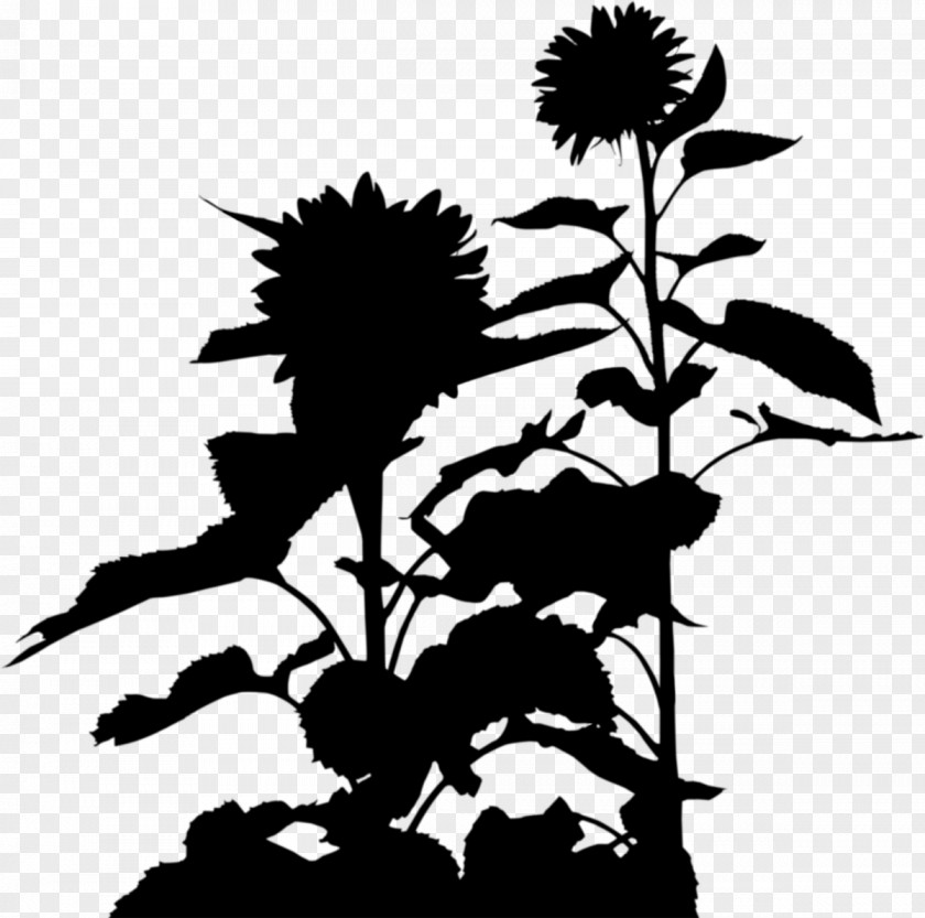 Clip Art Silhouette Plant Stem Flowering PNG