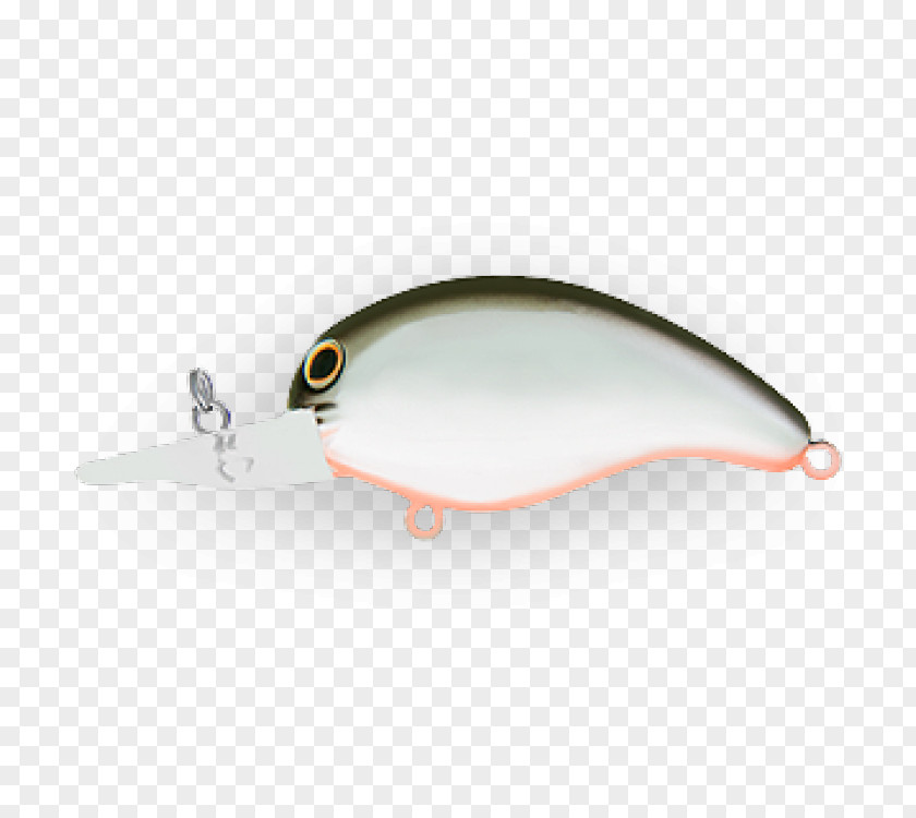 Design Spoon Lure Fish PNG