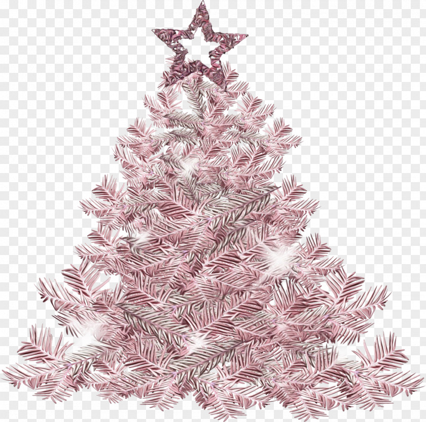 Fir Pine Christmas Tree PNG