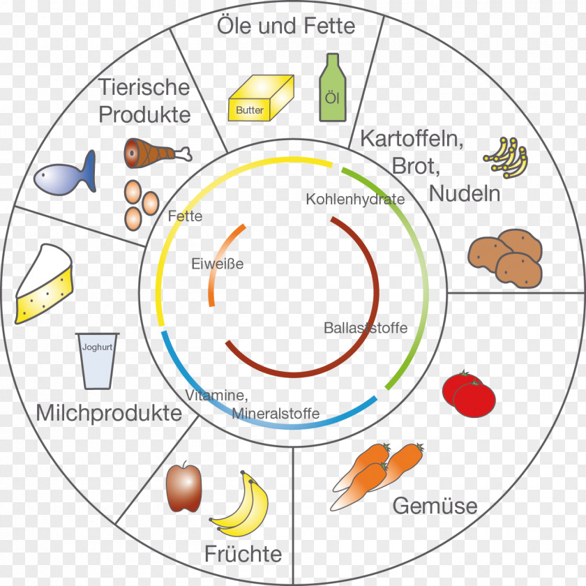 Line Human Behavior Organism Point PNG