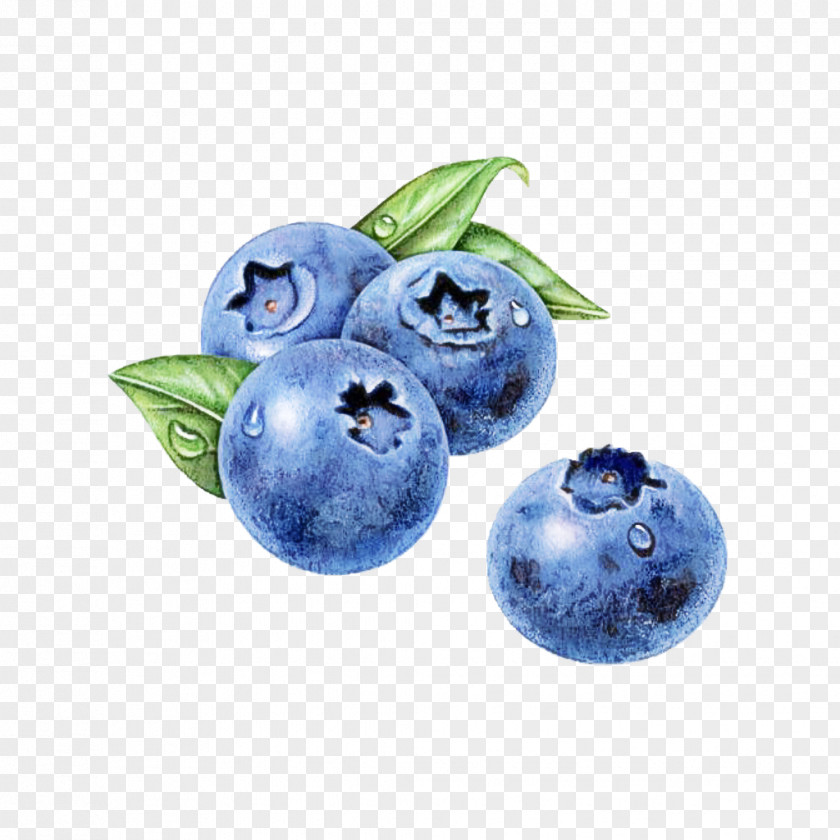 Sphere Food Berry Blueberry Blue Bilberry Fruit PNG