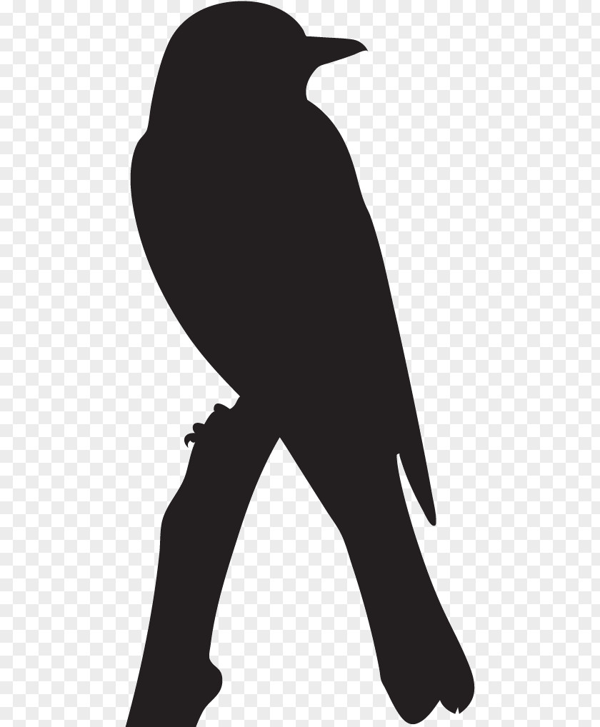 Blackandwhite Joint Birds Silhouette PNG