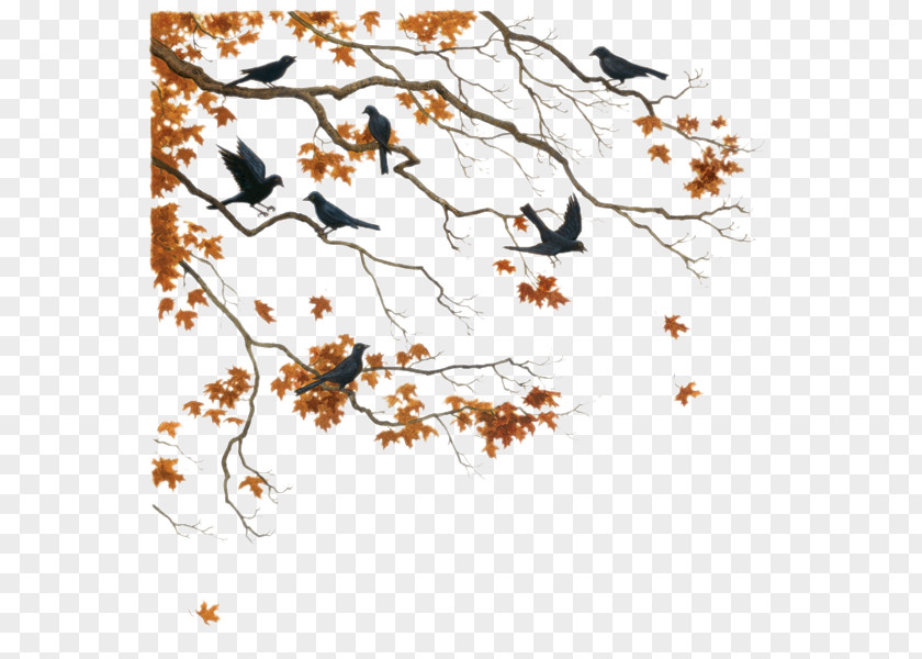 Herbes Bird Tree Autumn Hijab Flight PNG