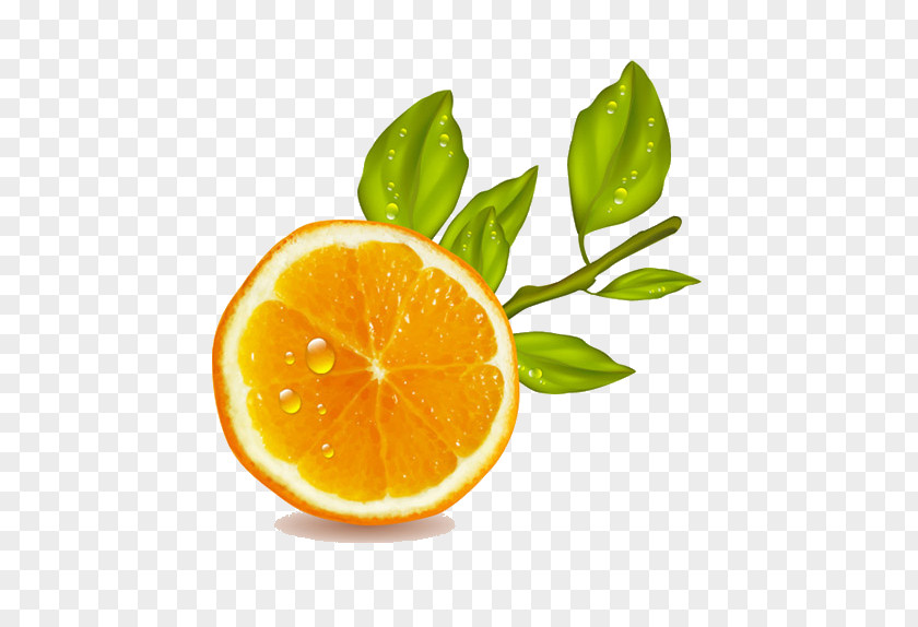 Orange Juice Lemon Fruit PNG