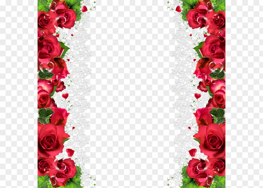 Romantic Rose Decorative Border Flower Red Clip Art PNG