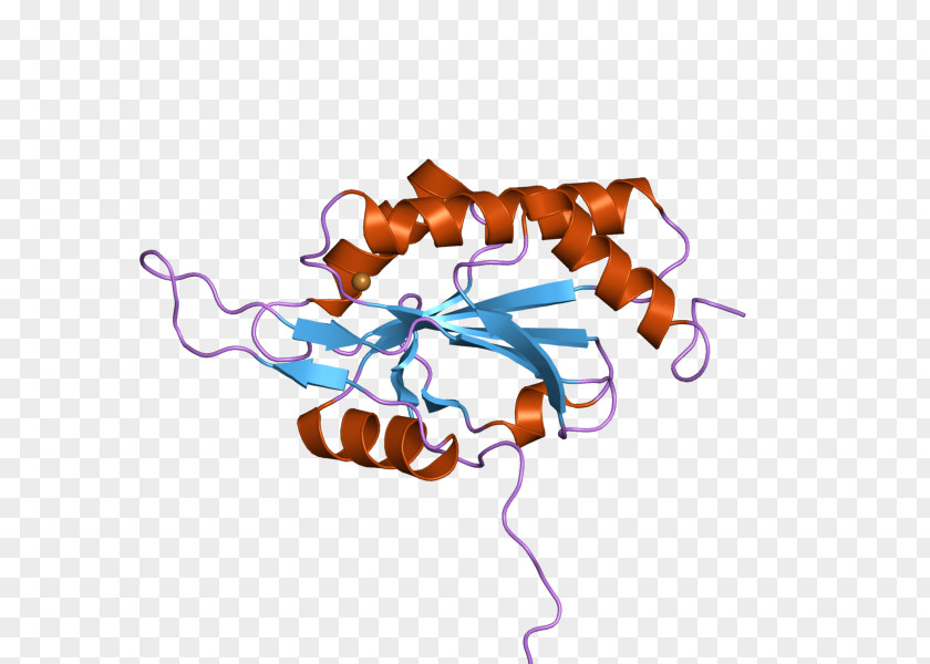 SCO1 SCO2 Structure Gene Art PNG