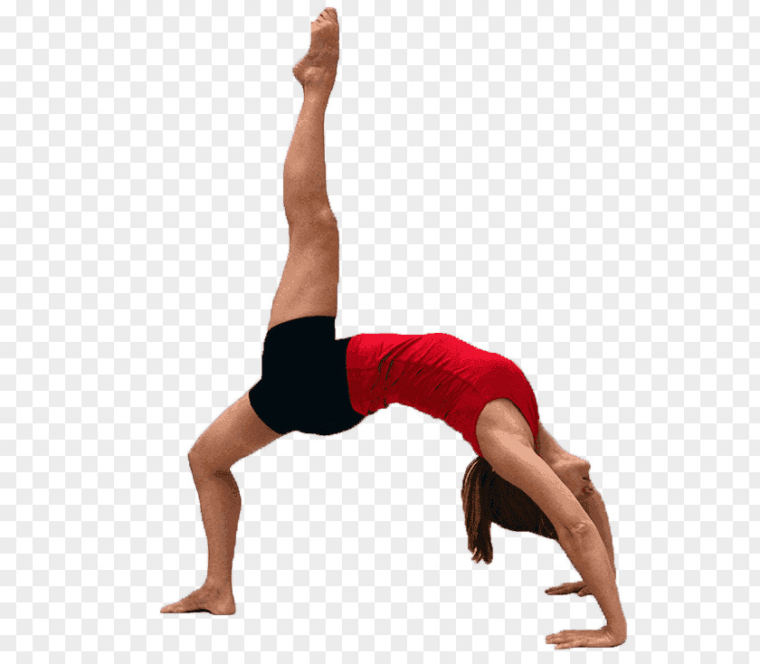 Yoga Pilates Bridge Exercise Core Stability PNG