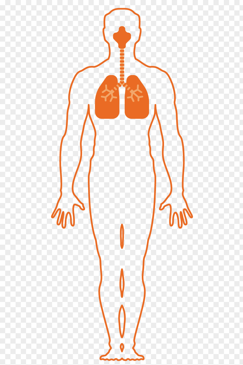 Chemical Weapon Respiratory System Respiration Breathing Asphyxia Organism PNG