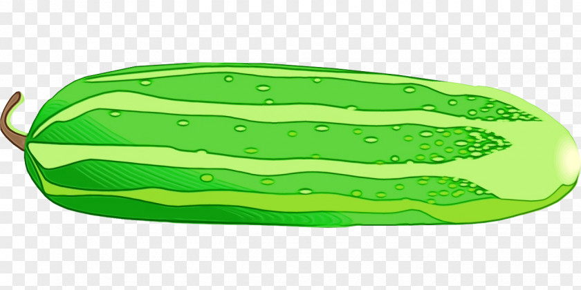 Cucumber Vegetable Green Plant PNG