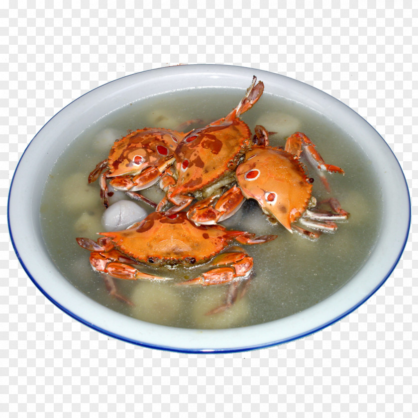 Hawthorn Sam Sun Dungeness Crab Download Google Images PNG