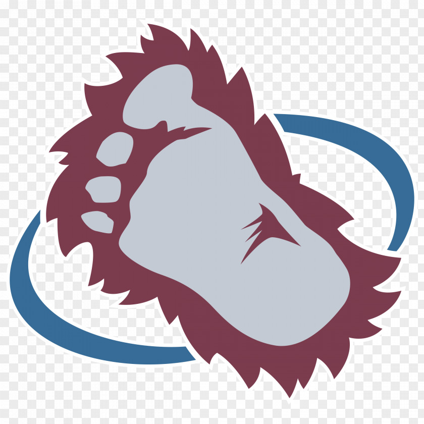 Ice Hockey Logo Colorado Avalanche National League Quebec Nordiques Tampa Bay Lightning PNG