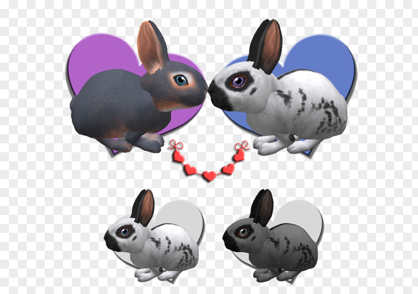 Rabbit Domestic Easter Bunny Snout PNG