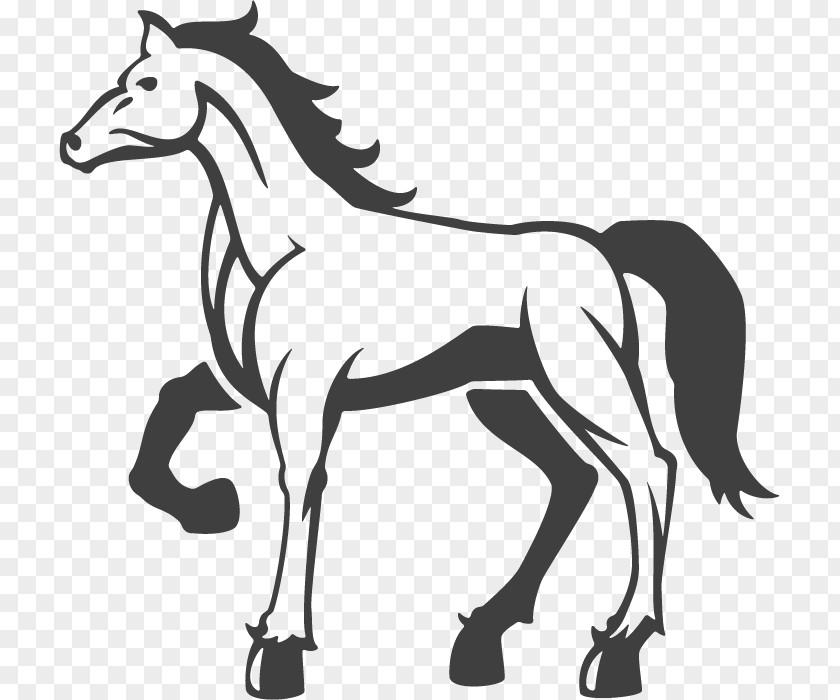 Standing Horse-shaped Logo Design Vector Material Horse Illustration PNG
