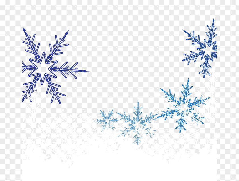 Vector Snowflake Decoration PNG