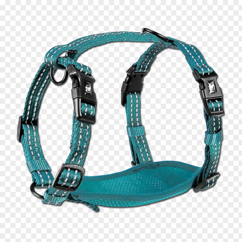 Dog Harness Horse Harnesses Walking Collar PNG