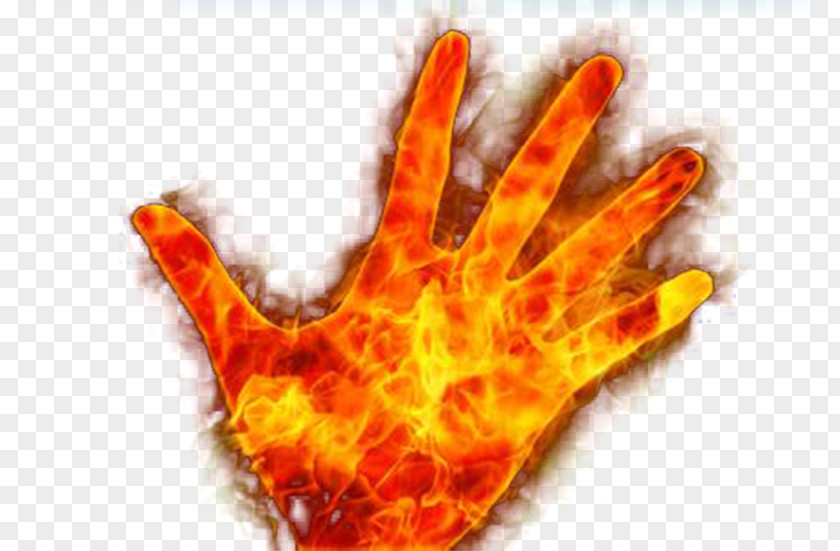 Flame Palms Combustion Hand Euclidean Vector PNG