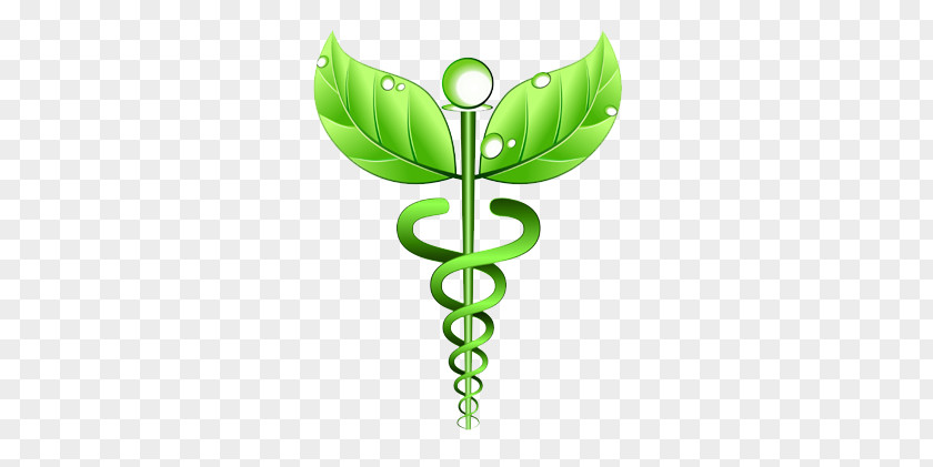 Health Alternative Services Medicine Naturopathy Homeopathy Care PNG