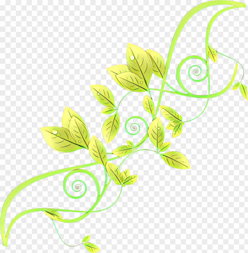 Pedicel Plant Stem Leaf Green Flower PNG