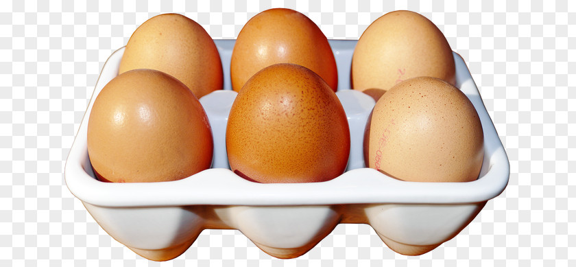 RATATUILLE Egg Menemen Food Bowl PNG