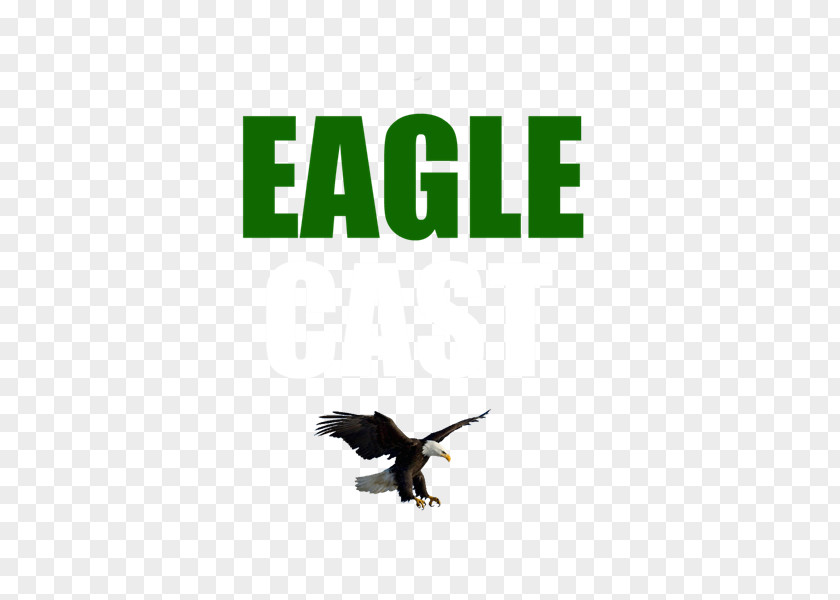 Car Eagle Transmission And Auto Repair Logo Experience Rio De Janeiro PNG