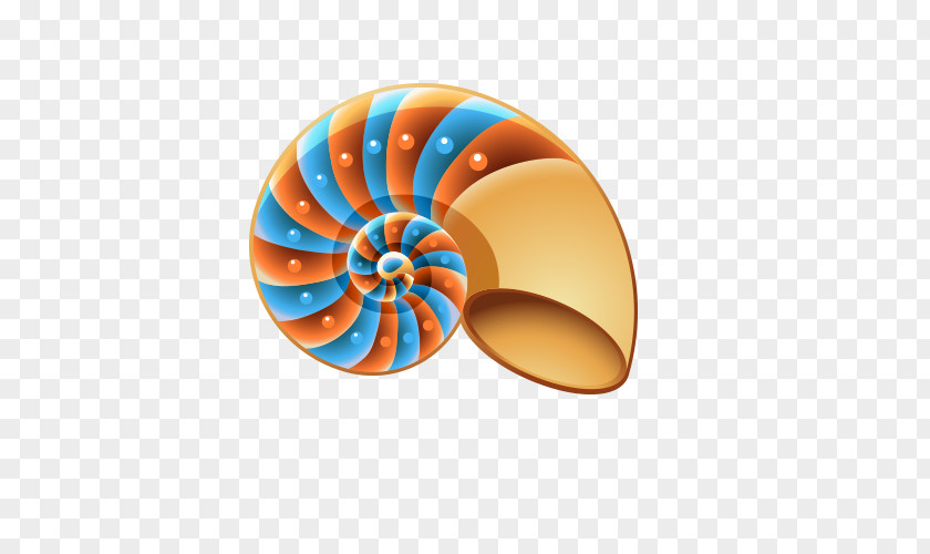 Conch Seashell Mollusc Shell Clip Art PNG
