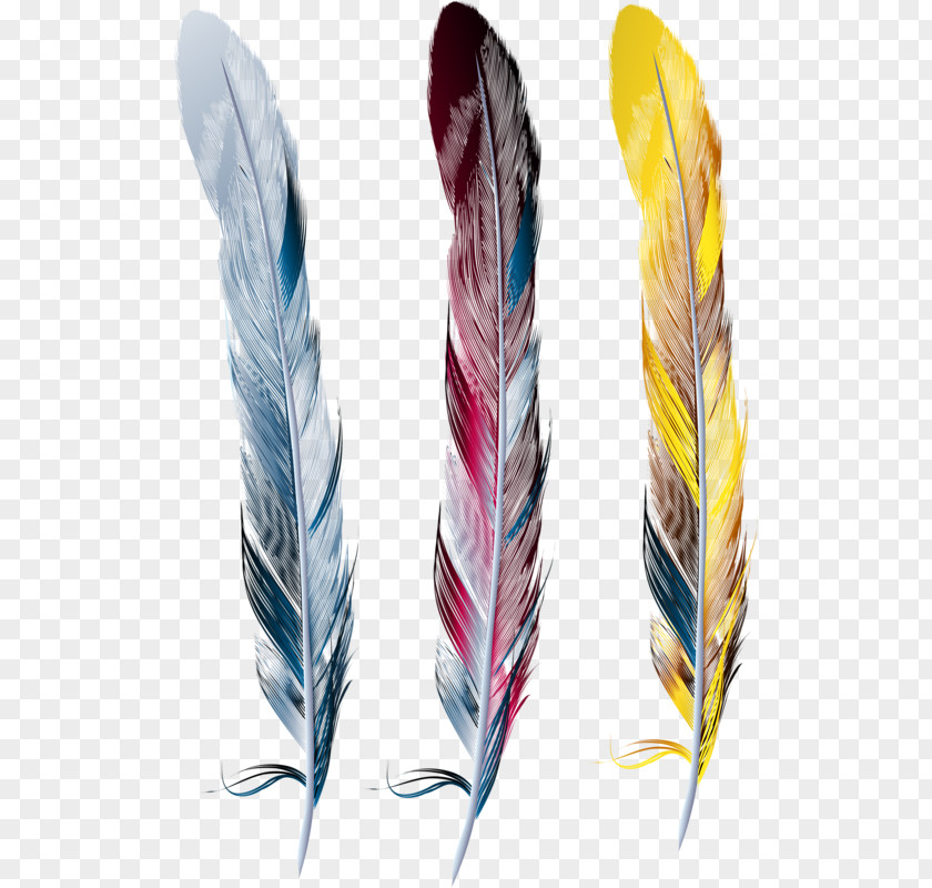 Feather Drawing Picture Frames Clip Art PNG
