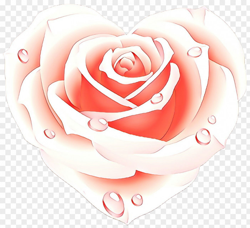 Floribunda Rose Order Love Flowers PNG