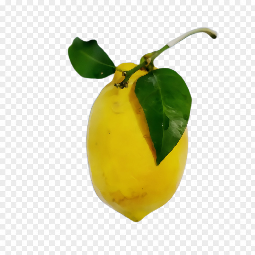 Flower Tree Yellow Plant Food Fruit Leaf PNG