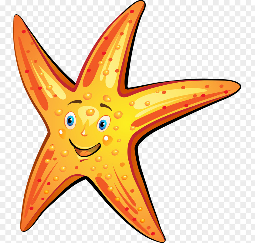 Smiling Starfish Royalty-free Stock Photography Cartoon PNG