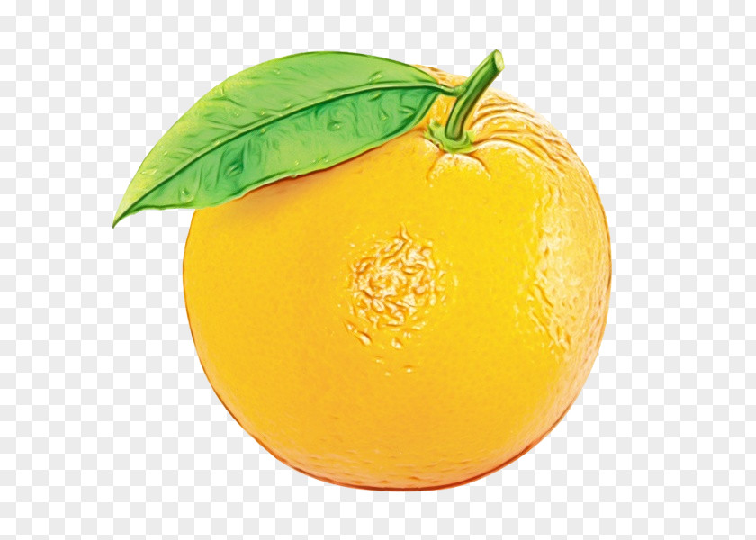 Tangelo Lemon Cartoon PNG