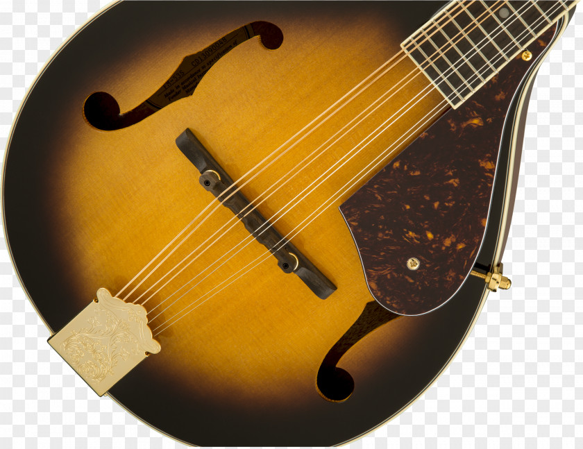 Acoustic Guitar Mandolin Cuatro Acoustic-electric Bass Violin PNG