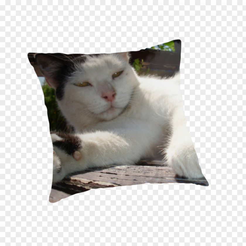 Kitten Whiskers Cat Throw Pillows PNG